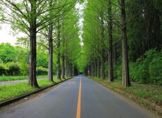 Profesjonalny wynajem assistance drogowego – pomoc na trasie 24/7 dla Twojego bezpieczeństwa Usługa assistance zapewnia kompleksową pomoc w razie awarii pojazdu podczas wynajmu długoterminowego