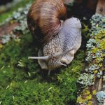 Czujniki TPMS stale kontrolują ciśnienie powietrza w oponach samochodu