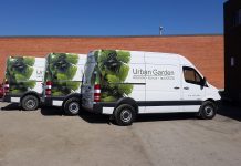 Kompleksowe projekty graficzne dla floty samochodów dostawczych – od wizualizacji do oklejenia graficzne dla floty samochodów