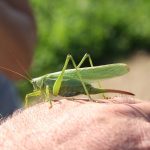 Systemy autonomicznej jazdy pozwalają pojazdom poruszać się bez udziału kierowcy